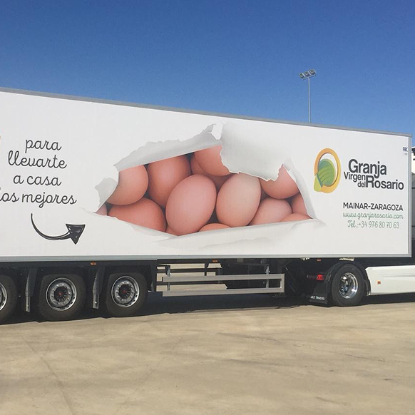 donacion-huevos-granja-del-rosario_P