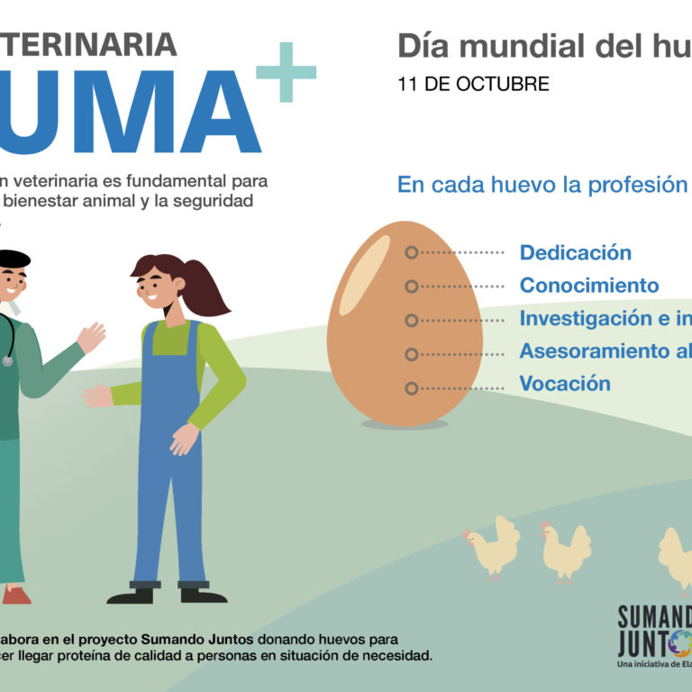 ES_DMH_Donacion-Universidades_v42