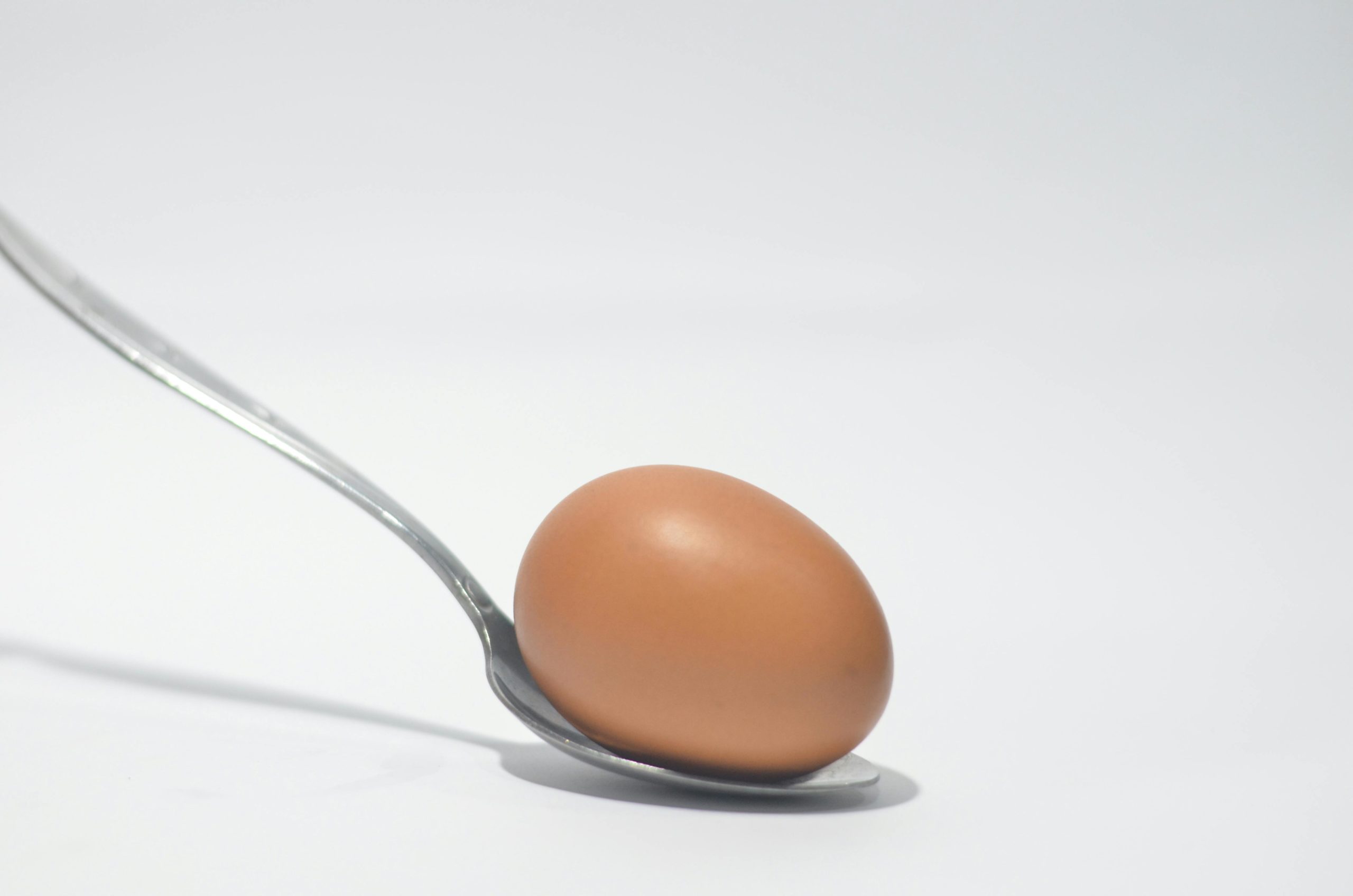 9_pexels-raypriatna-4837218