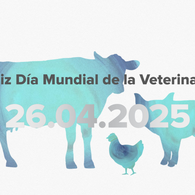 DMV2025_destacada