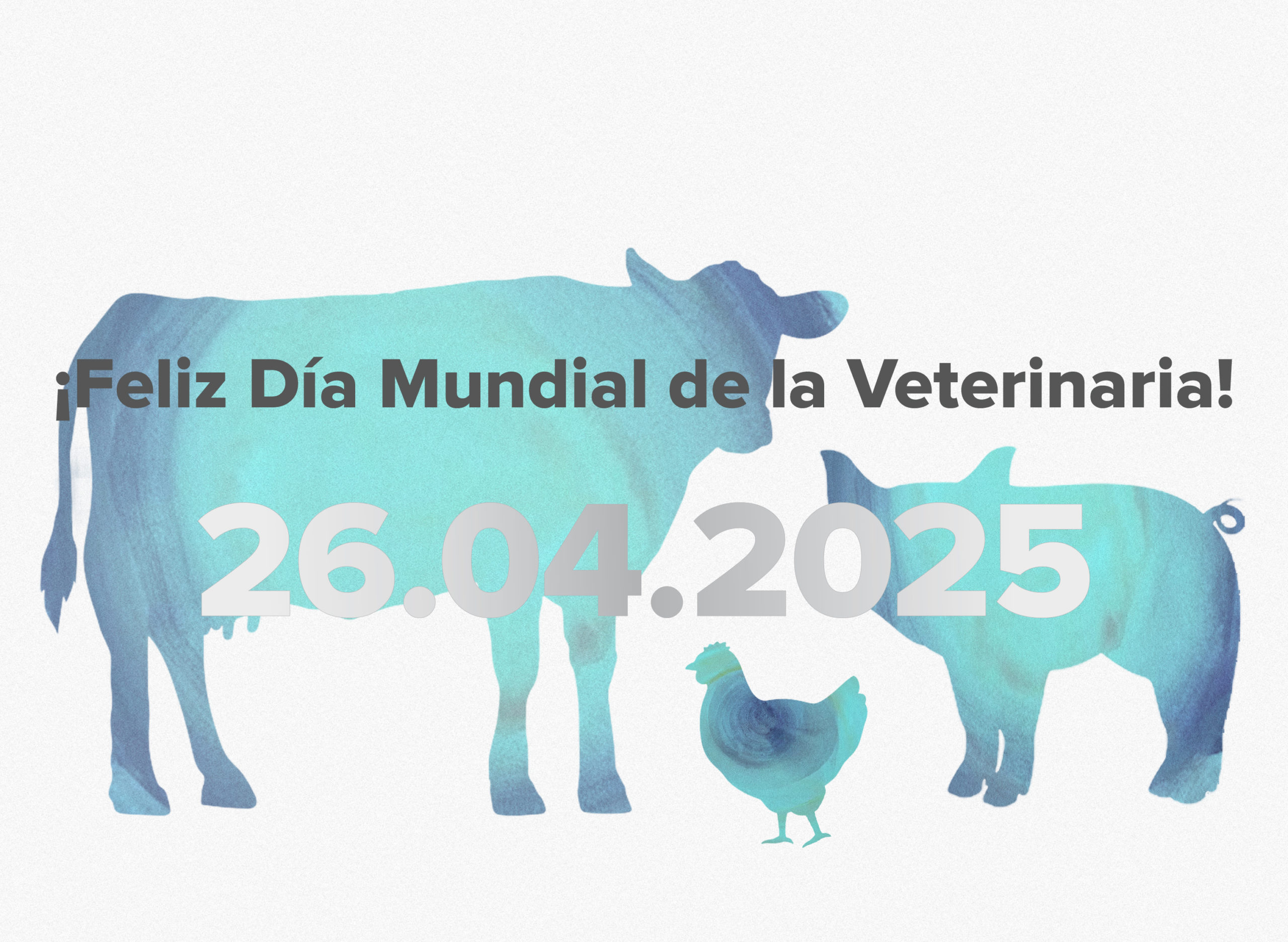 DMV2025_destacada