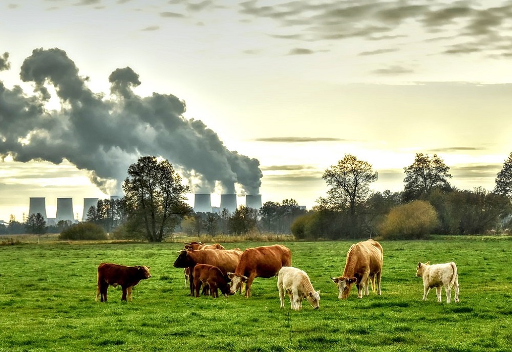 citizens-know-meat-production-is-not-the-main-cause-of-GHG-emissions