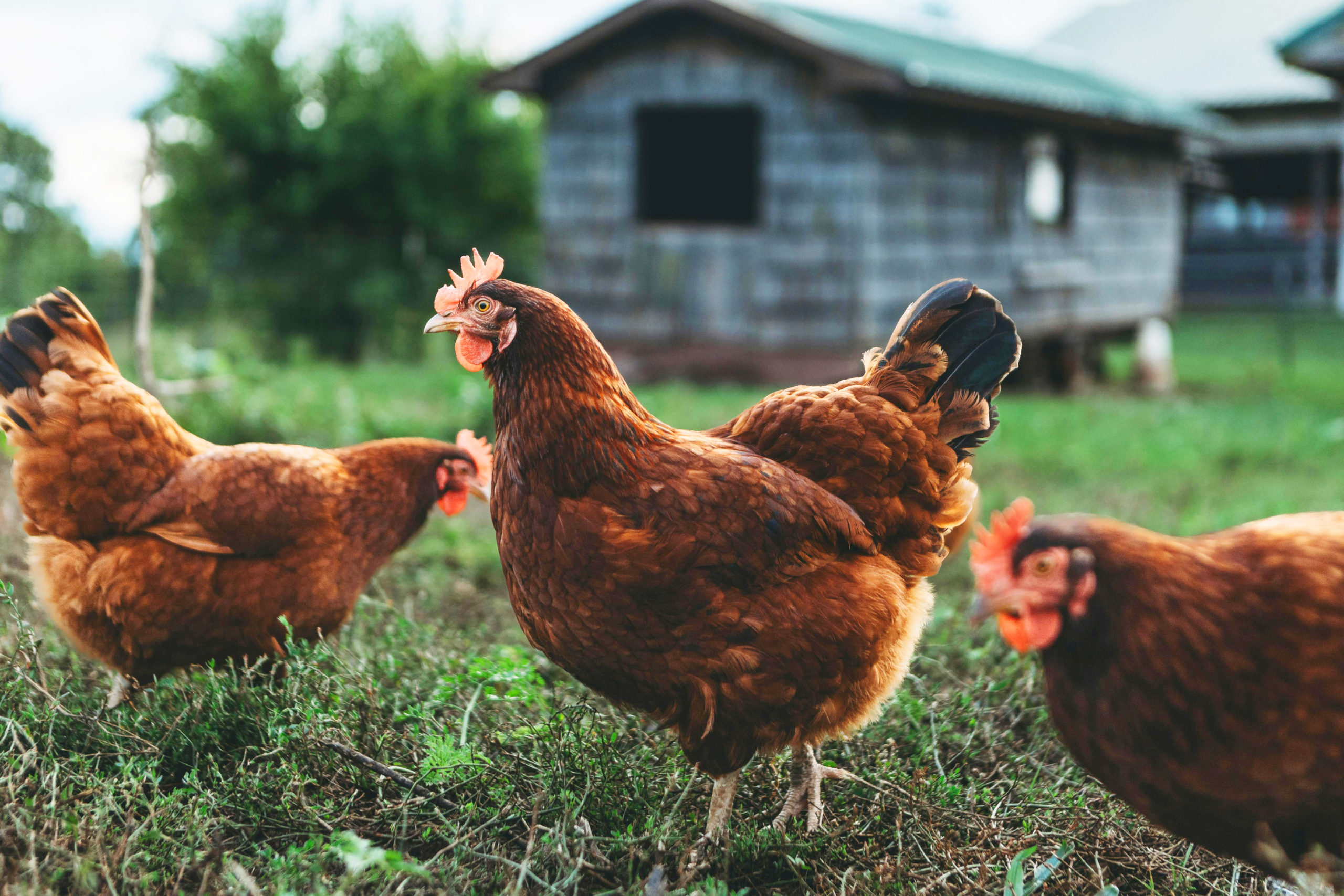 12_pexels-steven-van-elk-9757164-18474455