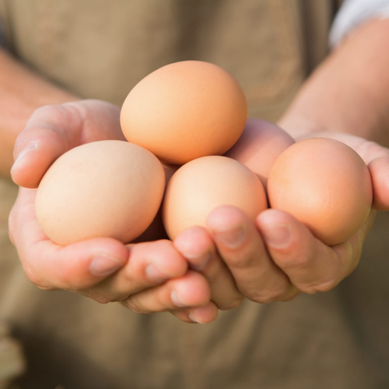 Sostenibilidad en la producción de huevos