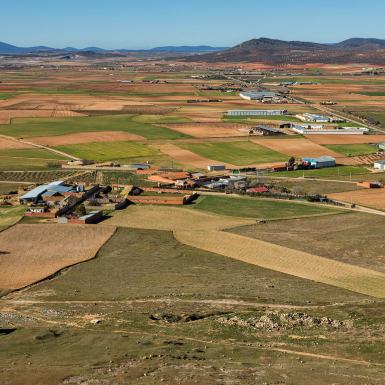 El sector porcino un motor económico de la «España vaciada»
