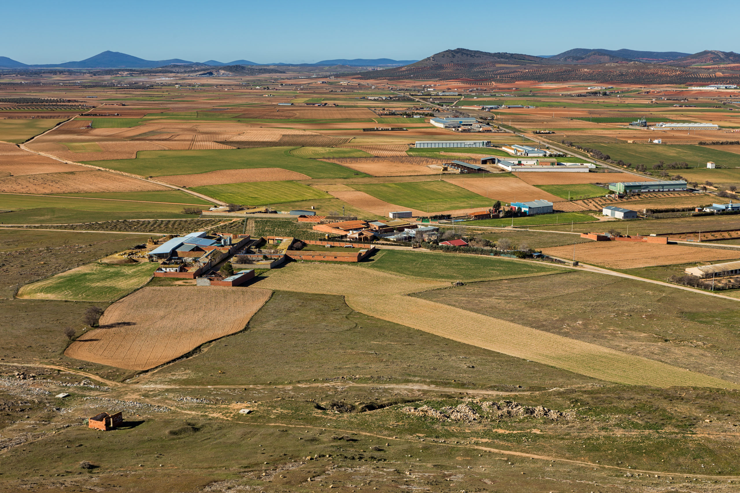 El sector porcino un motor económico de la «España vaciada»