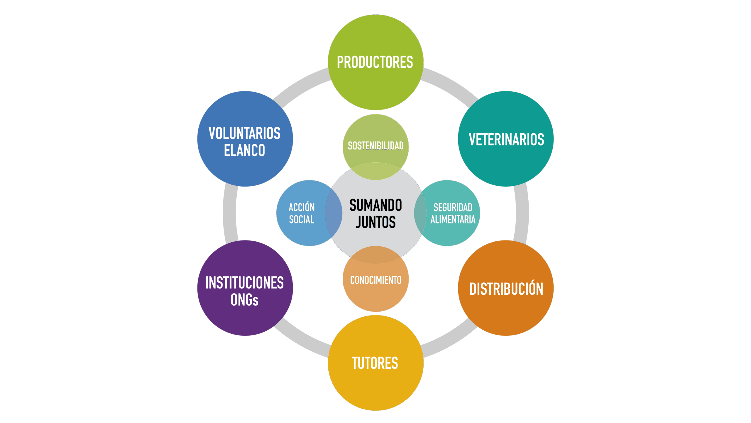 grafico_web_Sumando_Juntos Sobre Sumando Juntos