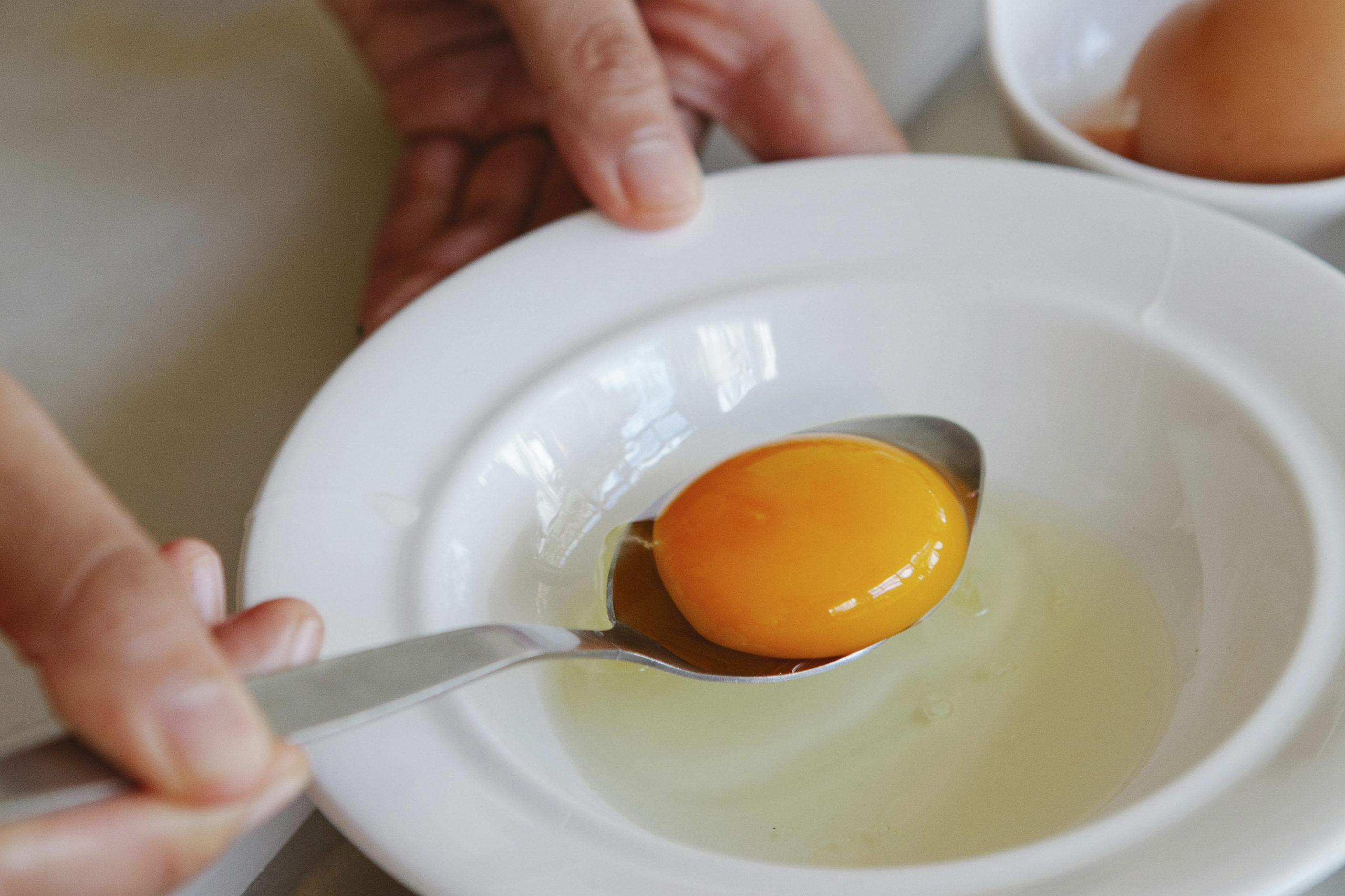 ¿Cómo sabemos que un huevo está fresco?